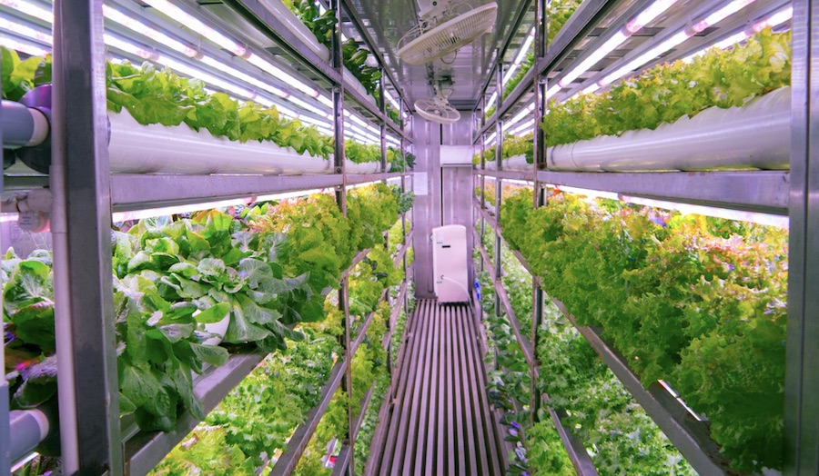 Serre connectée pour collectivités